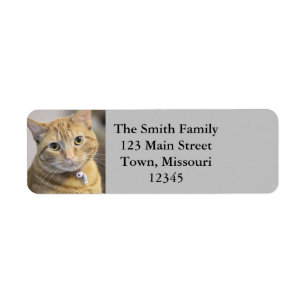 Étiquette Purr