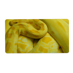 Étiquette Python birman jaune