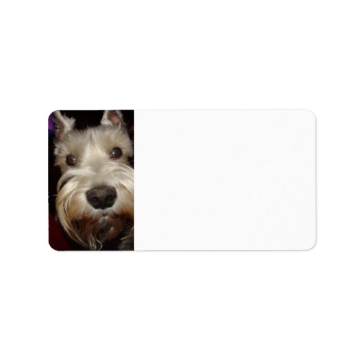 Étiquette Que regardes-tu ? (Devant)