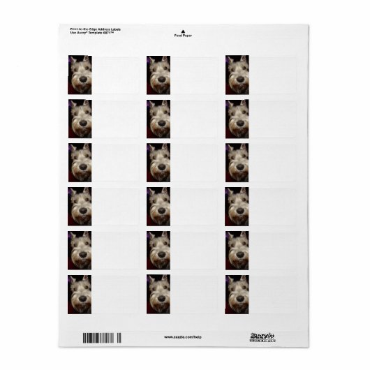 Étiquette Que regardes-tu ? (Feuille entière)