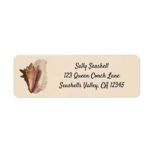 Étiquette Queen Conch Shell Seashell, Vintage Marine Life