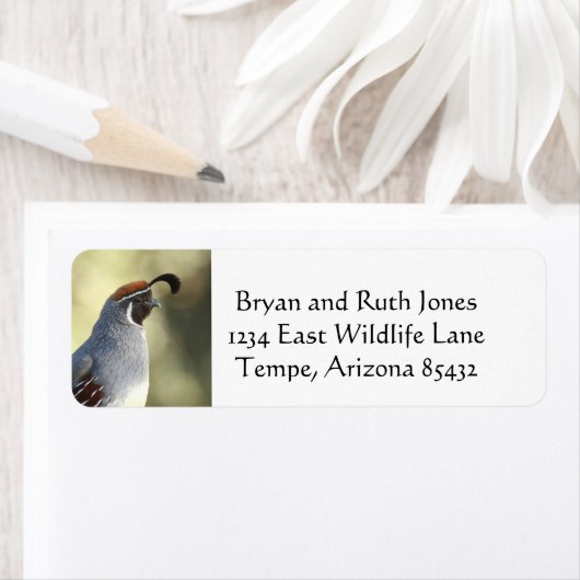 Étiquette Queue masculine (En situation)