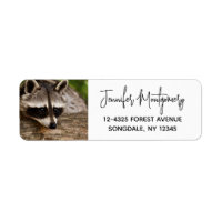 Raccoon mignon reposant sur un journal
