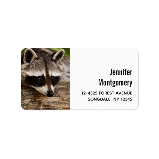 Étiquette Raccoon mignon reposant sur un journal (Devant)