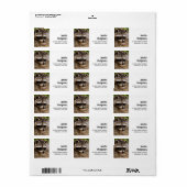 Étiquette Raccoon mignon reposant sur un journal (Feuille entière)