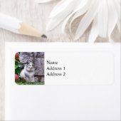 Étiquette Ragdoll Cat by Hydrangea (En situation)