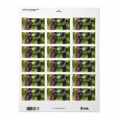 Étiquette Raisins (Feuille entière)