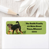 Étiquette Rascal (En situation)