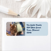 Étiquette rat de bébé (En situation)