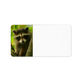 Étiquette raton laveur (Devant)