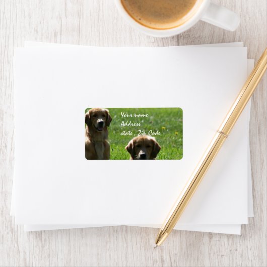 Étiquette Récupérateurs d'or (En situation)