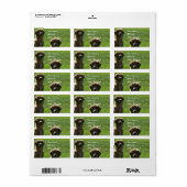 Étiquette Récupérateurs d'or (Feuille entière)