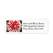 Étiquette Red and White Dahlia Floral Adresse de retour (Devant)