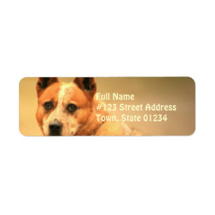Étiquette Red Australian Cattle Dog Adresse de retour Label