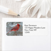 Étiquette Red cardinal en hiver (En situation)