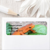 Étiquette Red Eft Orange Salamander Nature #2 Adresse (En situation)