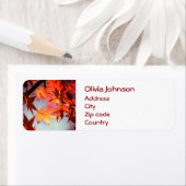 Étiquette Red Fall Automne Feuilles de l'érable (En situation)