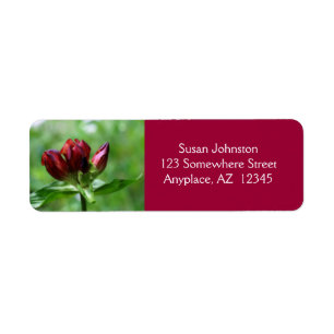 Étiquette Red Gentian Flower Adresse