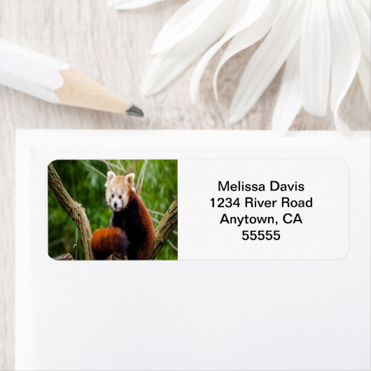 Étiquette Red Panda Address Labels (En situation)