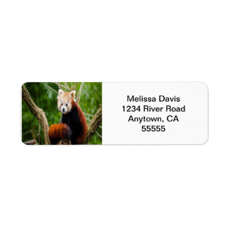 Étiquette Red Panda Address Labels