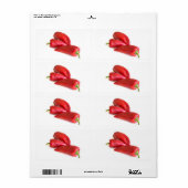 Étiquette Red pepper (homonymie) (Feuille entière)