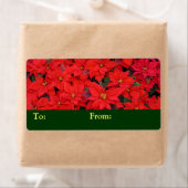 Étiquette Red Poinsettias I Christmas Holiday Floral Photo (En situation)