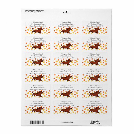 Étiquette Red Smooth Dachshund Running (Feuille entière)