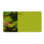 Étiquette Red Water Lily Blossom Impressionistic Digital Art (Devant)