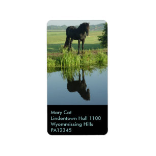 Étiquette Réflexion frisonne de cheval dans l'eau