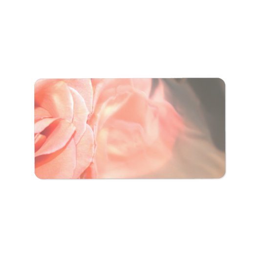 Étiquette Réflexion rose rose pâle en argent (Devant)