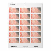 Étiquette Réflexion rose rose pâle en argent (Feuille entière)