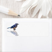 Étiquette Réflexions bleues (En situation)