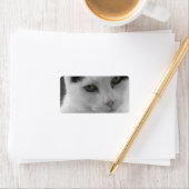 Étiquette Réflexions sur les chats (En situation)
