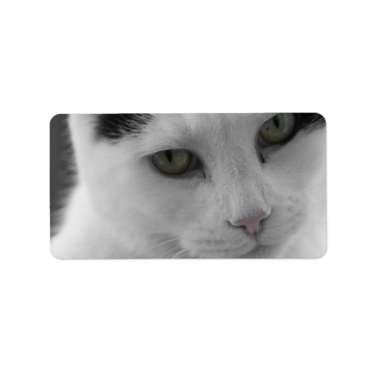 Étiquette Réflexions sur les chats (Devant)
