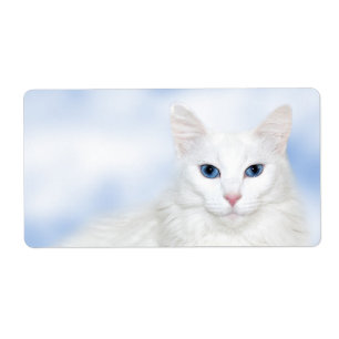 Étiquette Regal blanc chat