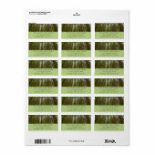 Étiquette Regard vers la forêt ancienne (Feuille entière)