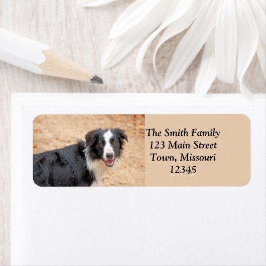 Étiquette Renene (En situation)