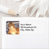 Étiquette Repos Cougar (En situation)