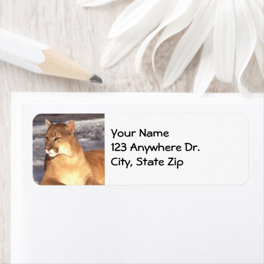 Étiquette Repos Cougar (En situation)