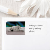 Étiquette Repose de l'ours polaire (En situation)