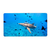 Étiquette Requin (Devant)