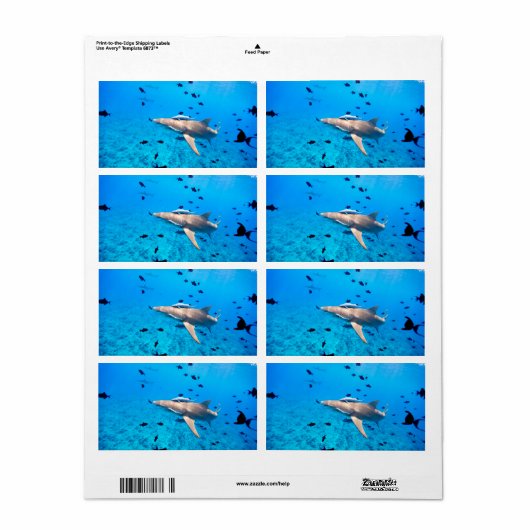 Étiquette Requin (Feuille entière)