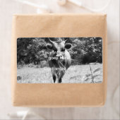 Étiquette Retro Grey Bull Photo (En situation)