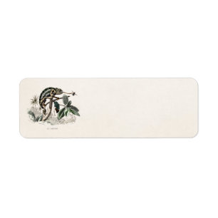 Étiquette Rétros caméléons de 1800s de lézard vintage de