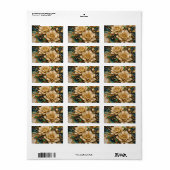 Étiquette Return Address Label (Feuille entière)