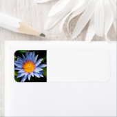 Étiquette Return address labels (En situation)