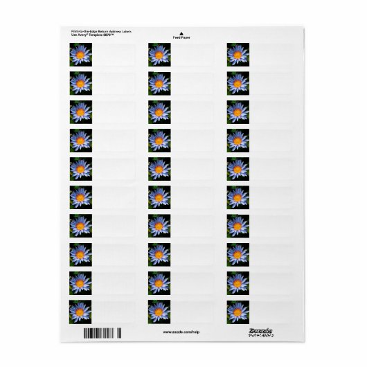 Étiquette Return address labels (Feuille entière)