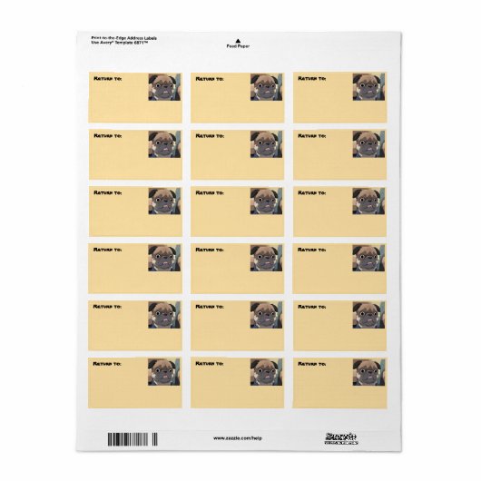 Étiquette return label pug (Feuille entière)