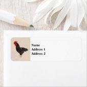 Étiquette Rhode Island Red Rooster (En situation)