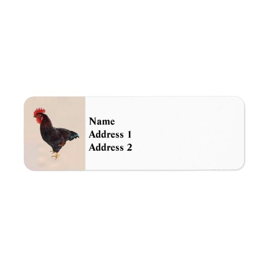 Étiquette Rhode Island Red Rooster (Devant)